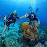 Cozumel Diving Trip (Scuba Du)