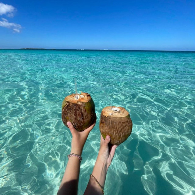 Sand Bar Cocktails