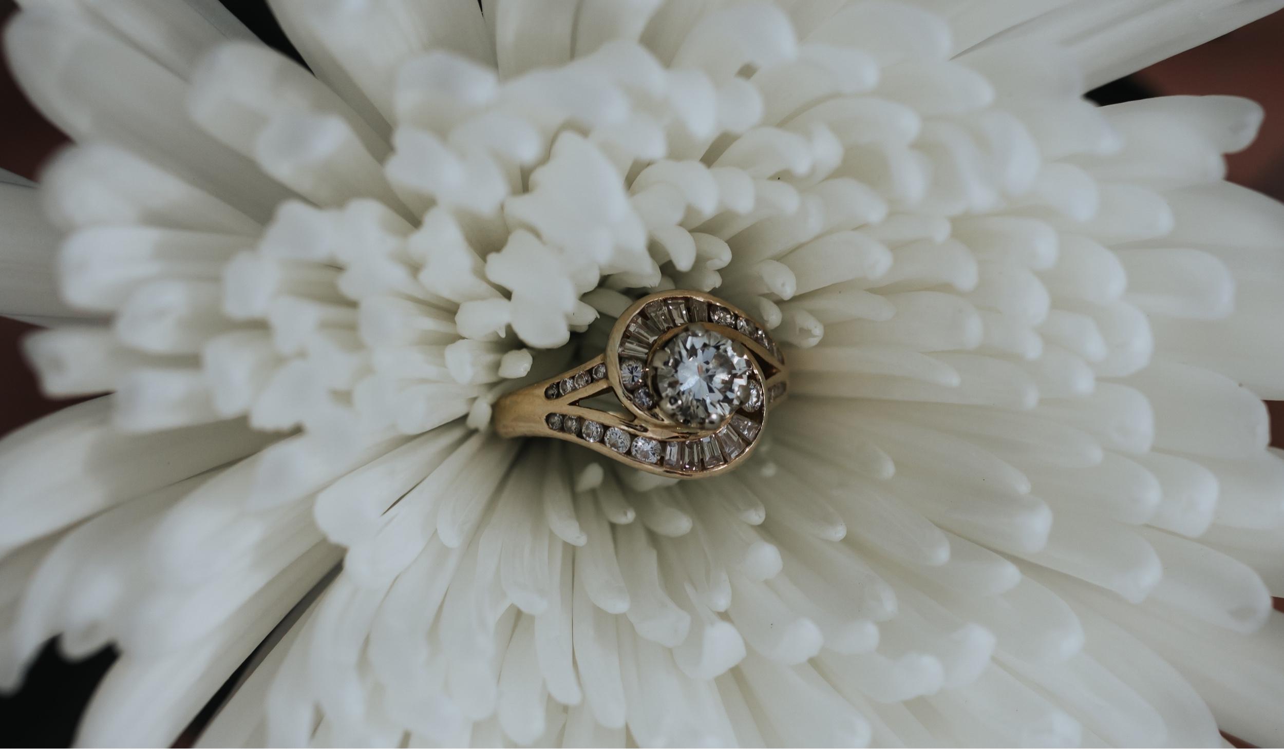 Hero Slideshow Image 2