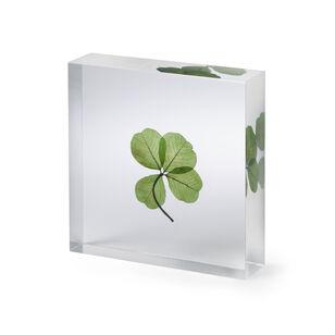 Lucky Clover Objet