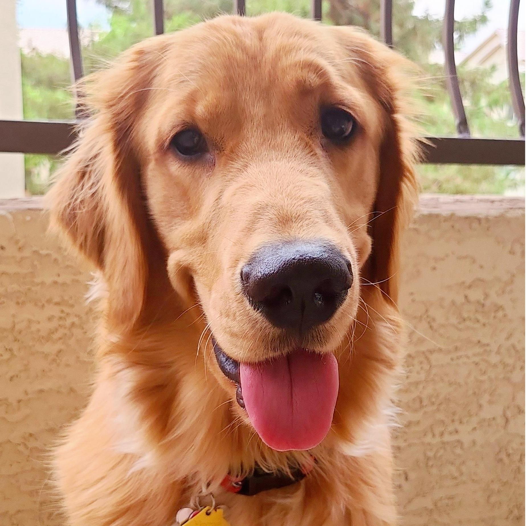 Woody!