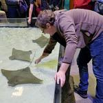 National Mississippi River Museum & Aquarium