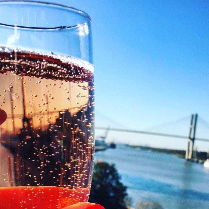 Rose over looking the Savannah Bridge!