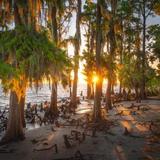 Fontainebleau State Park