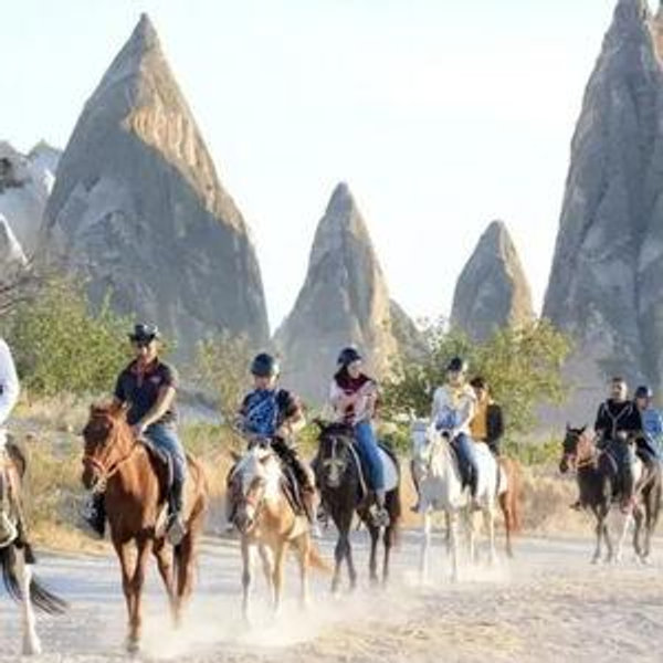 Horseback Riding On Our Honeymoon