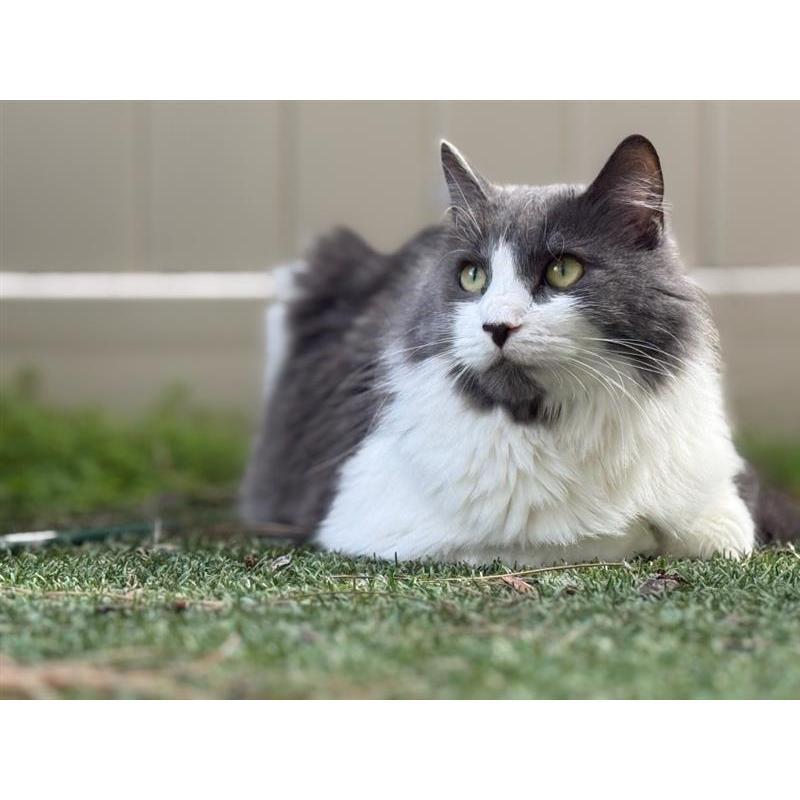 Poof, our third born child!