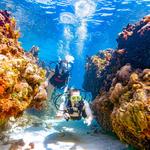 Scuba Diving and Snorkeling