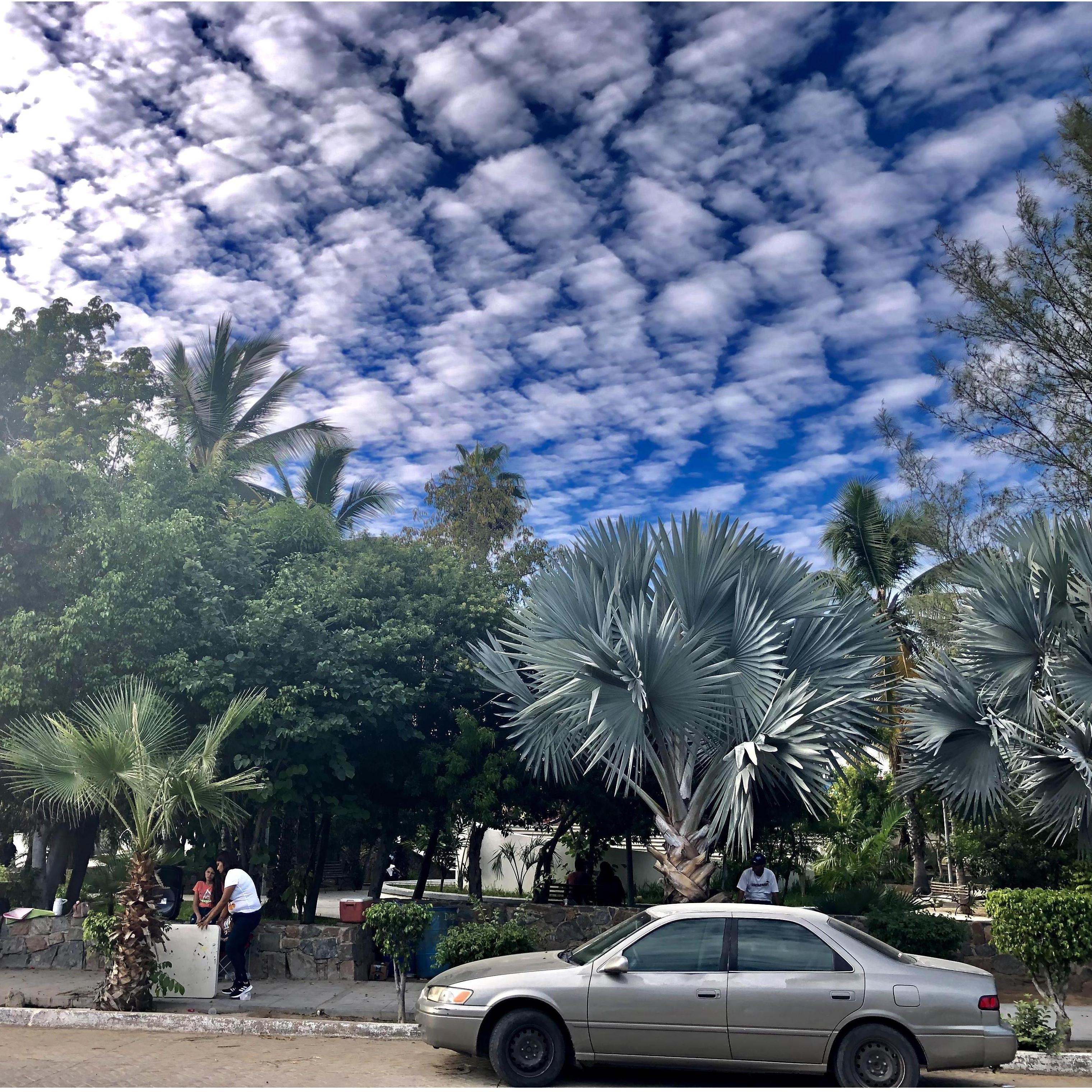 Todos Santos