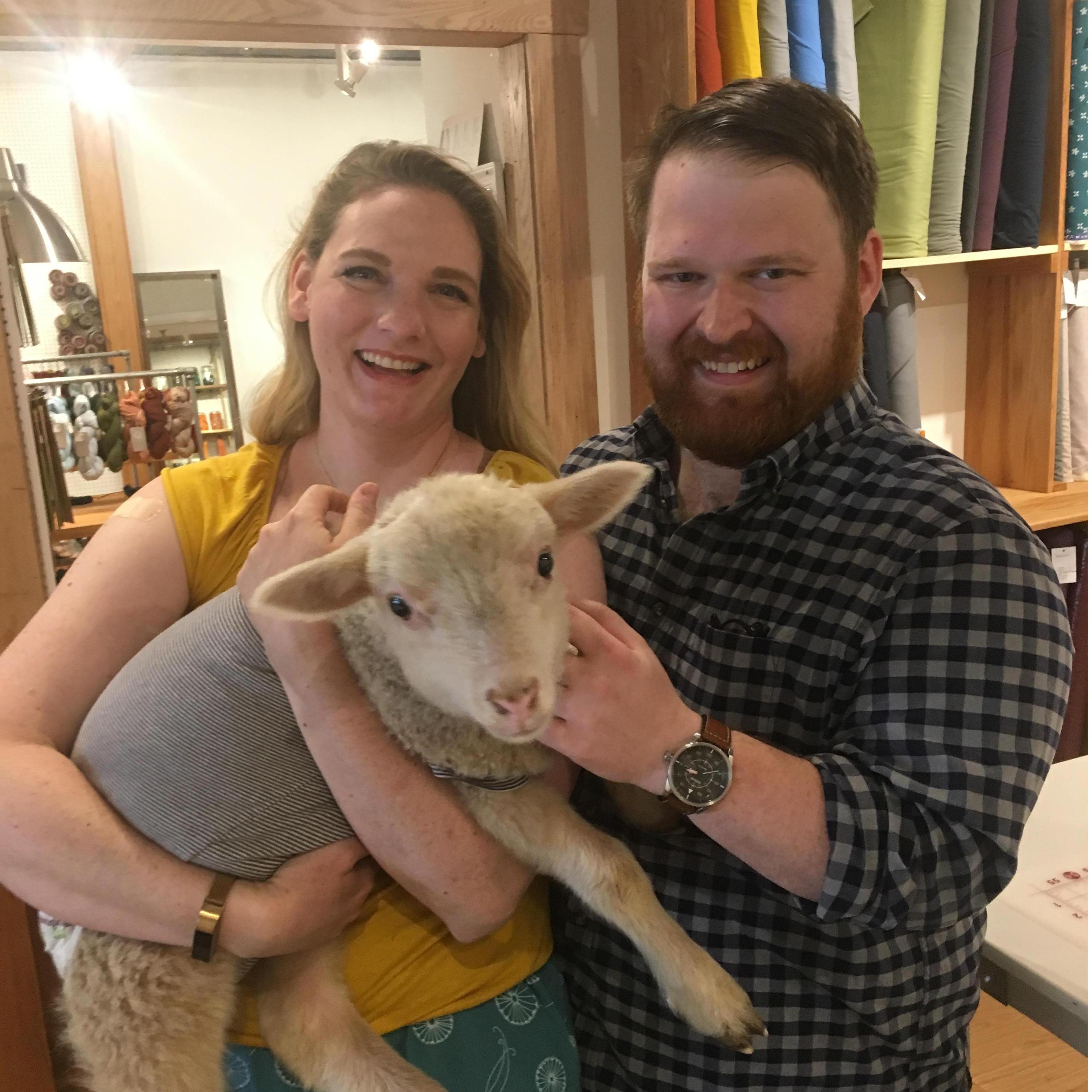 Does this even need a caption? Look at this little lamb!