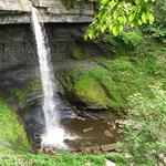 Bahar Preserve & Carpenter's Falls