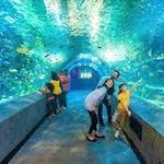 The Dallas World Aquarium