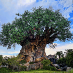 Animal Kingdom