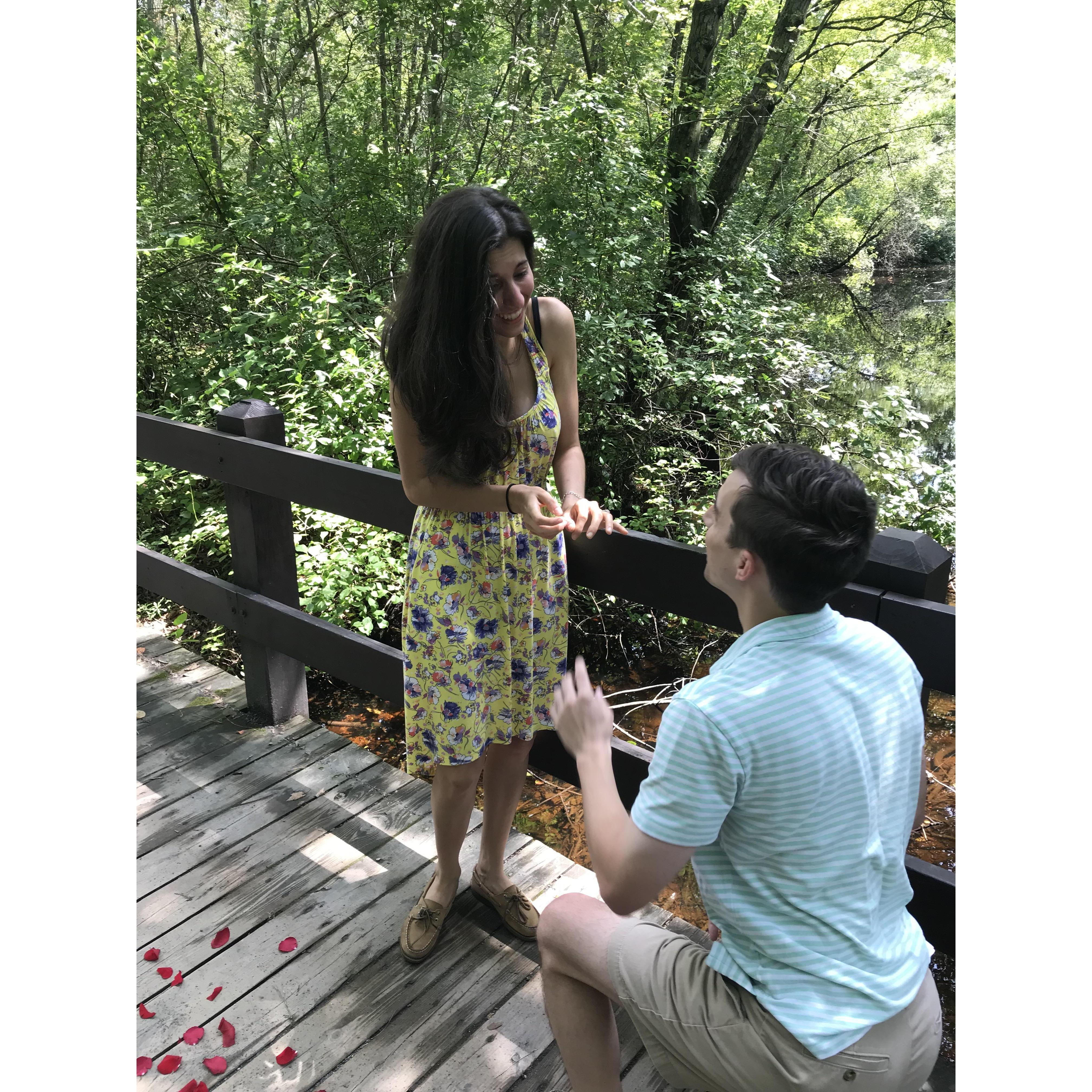 A perfectly executed proposal by William!