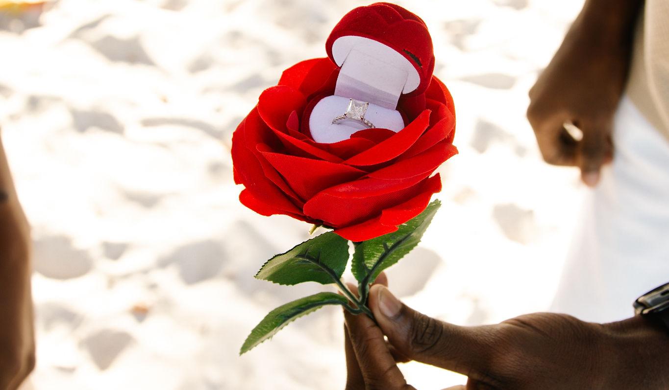 The Wedding Website of Fritzner Pierre and Maselor Moise