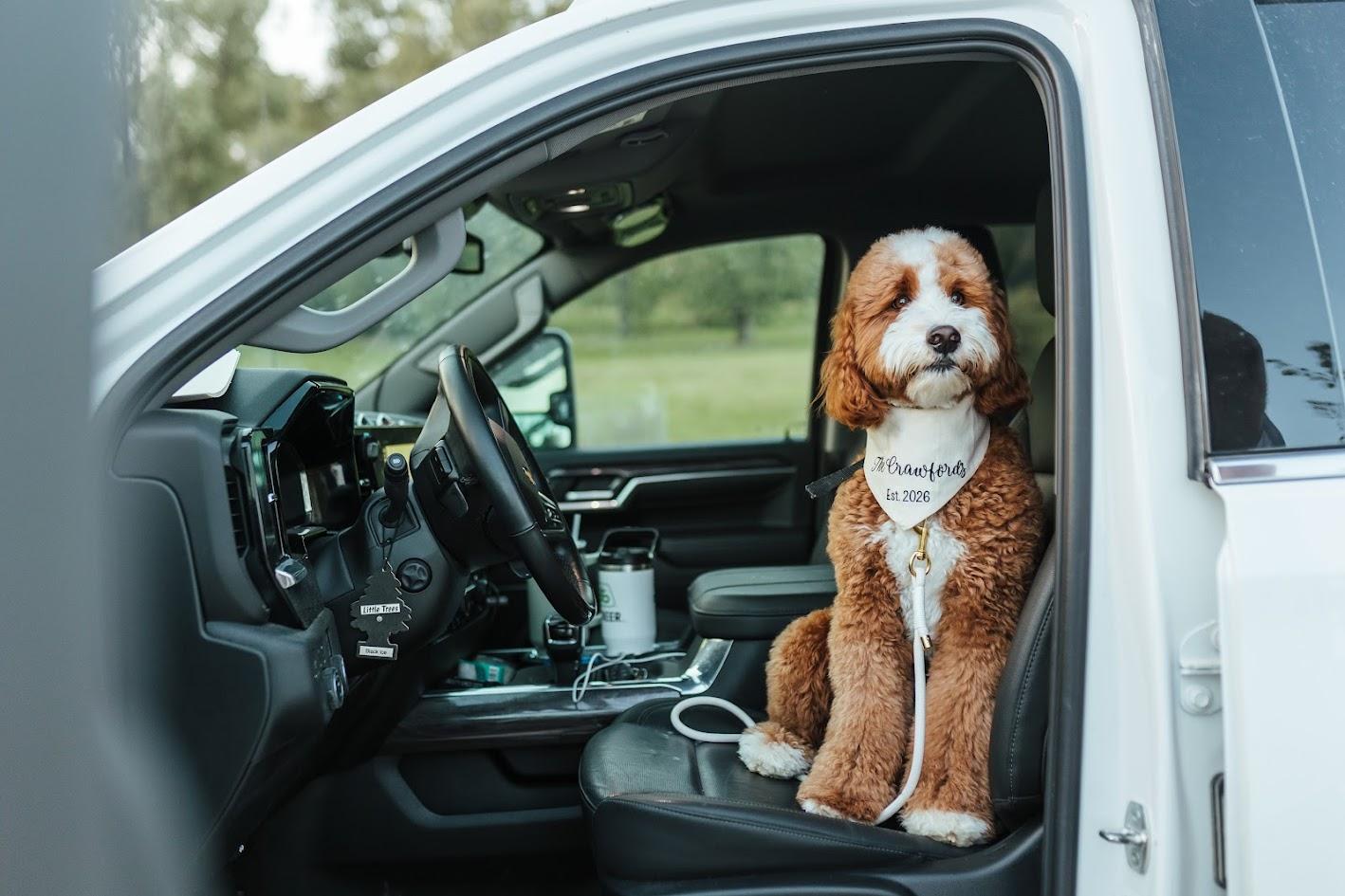 The Wedding Website of Caroline Franciskato and Hunter Crawford