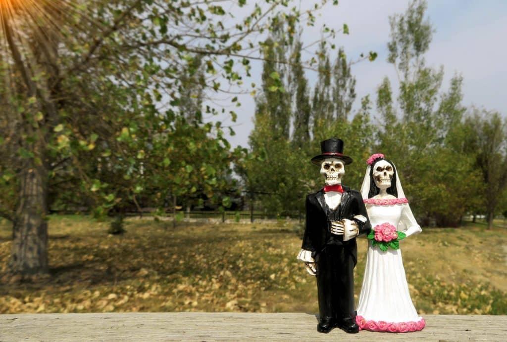 The Wedding Website of Kaiela Bennett and Mikey Bear