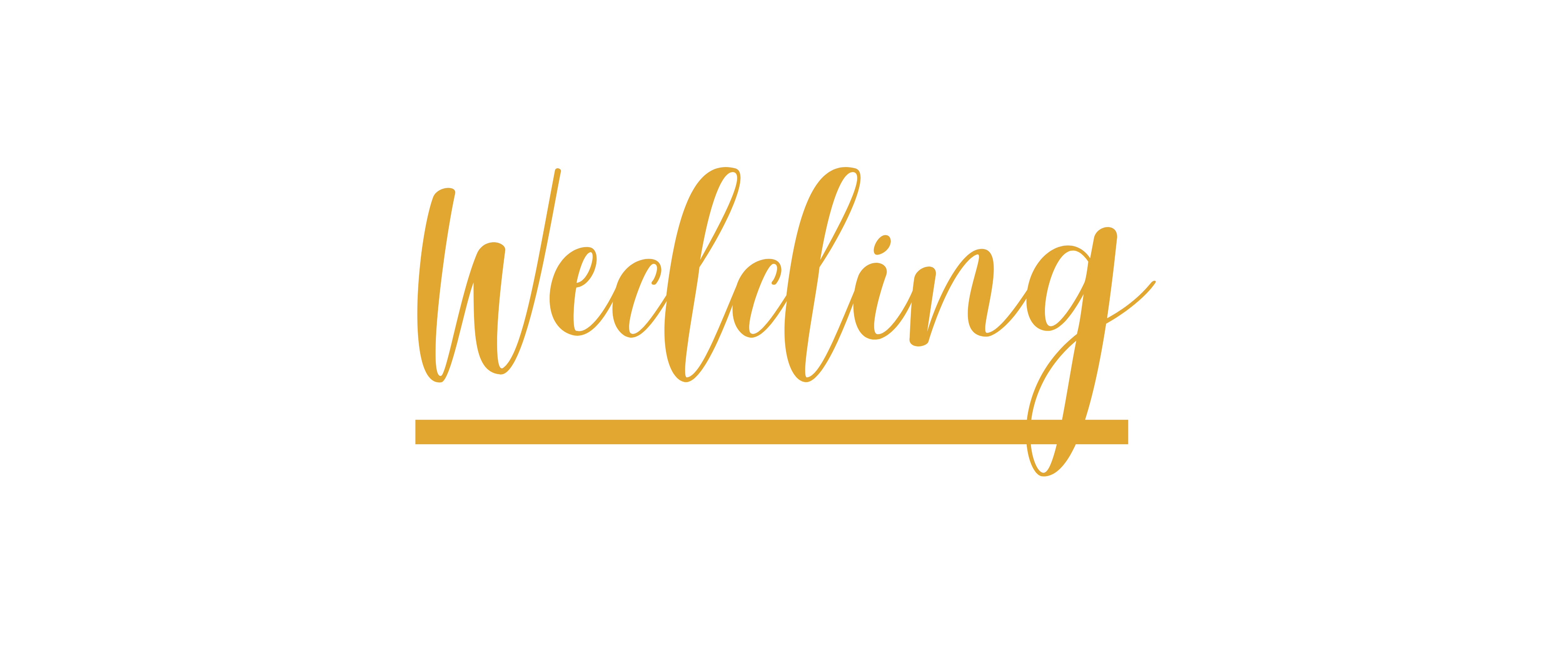 The Wedding Website of Brittany Fant and Shakir Bilal