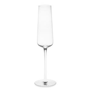 Set of Two Williams Sonoma Estate Champagne Wine Glasses
