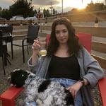 Ace Brewing Company Limited