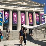 Shedd Aquarium