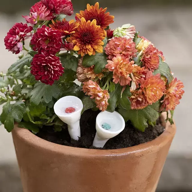 Ceramic Bee Drinking Cups