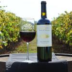 Lakeridge Winery & Vineyards