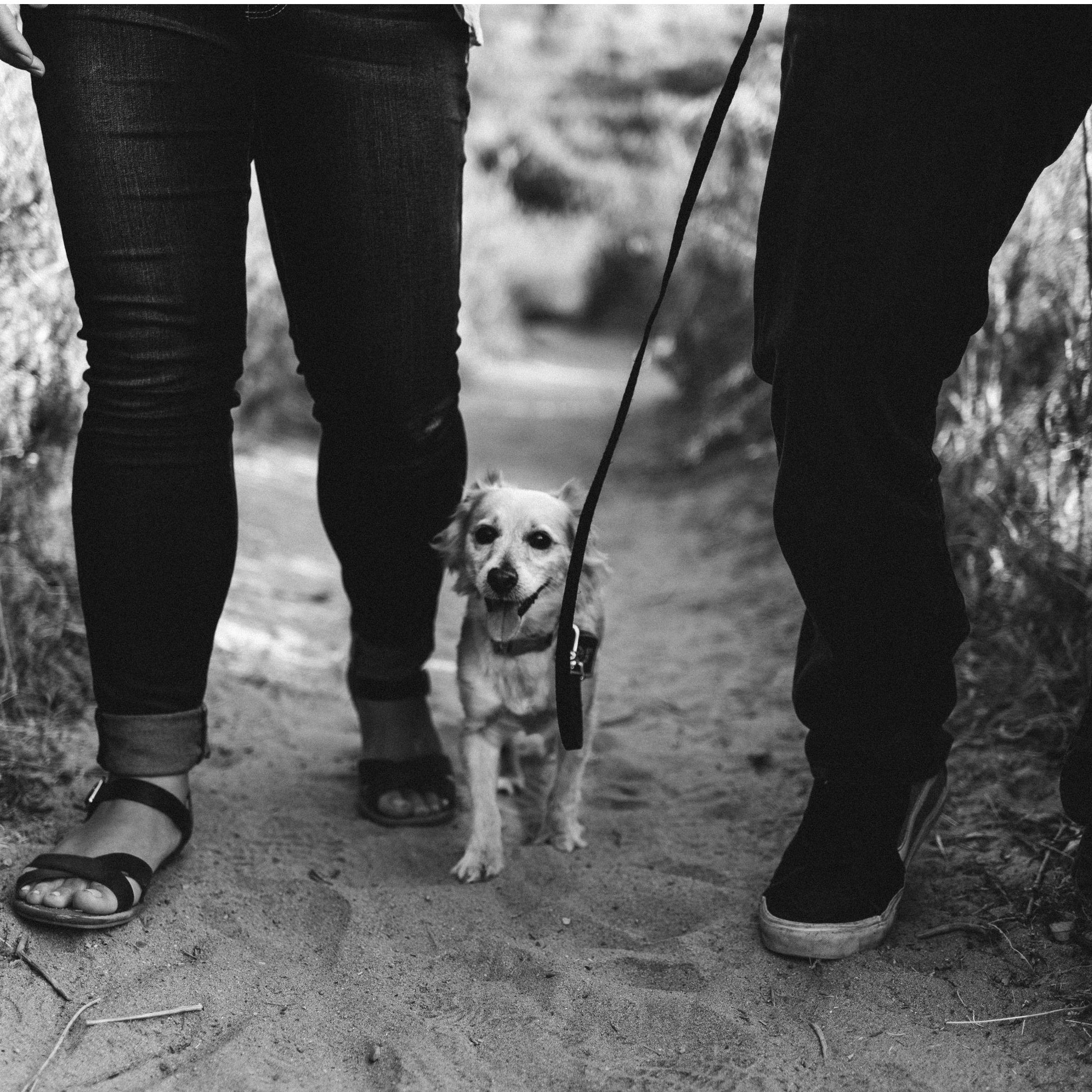 Photography by Brittany Bender Photography