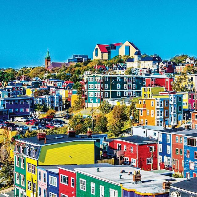 Newfoundland Honeymoon