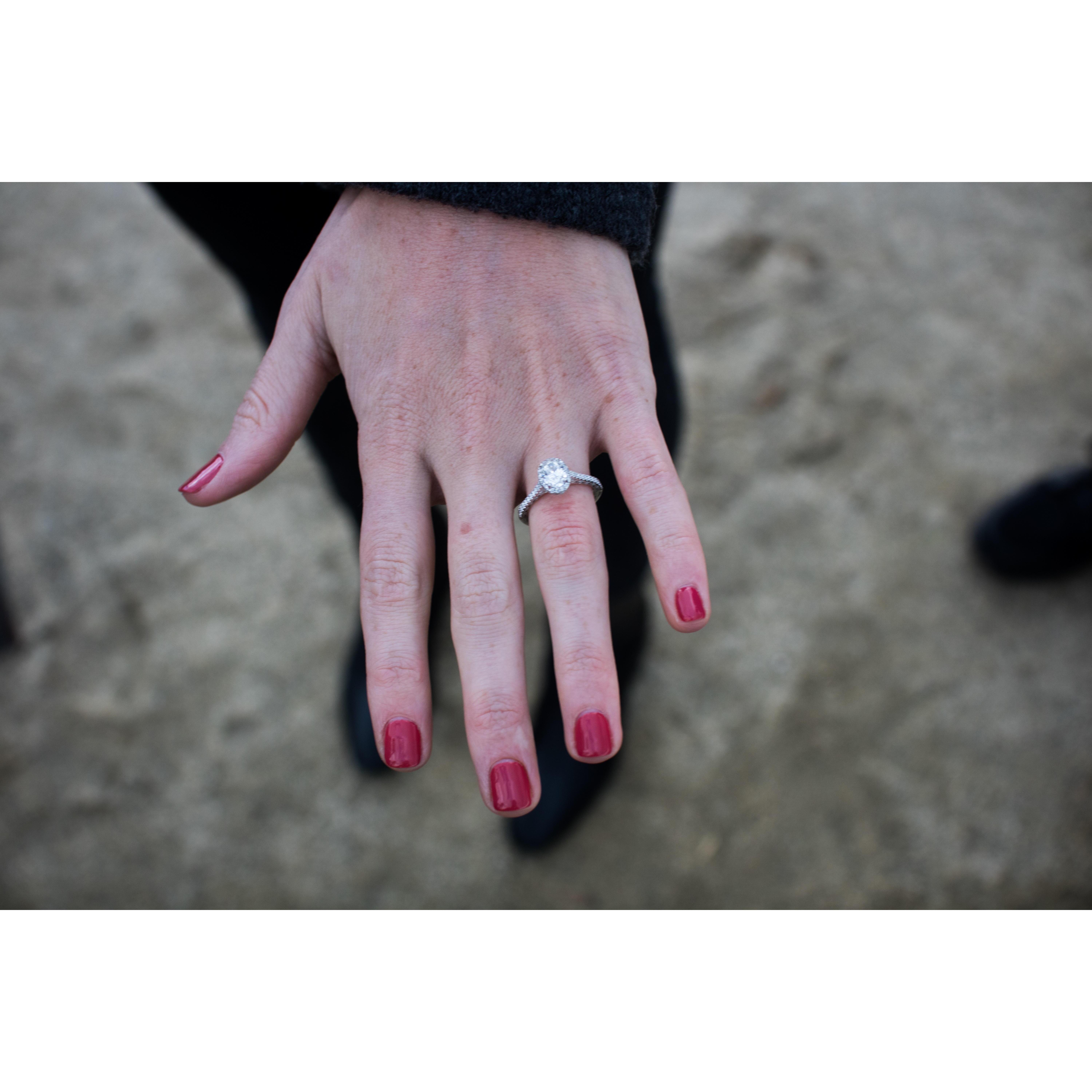 Proposal 11/29/19