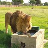 Kragga Kamma Game Park