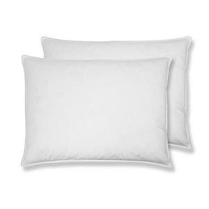 St. James Home 2-Pack White Goose Feather King Pillow