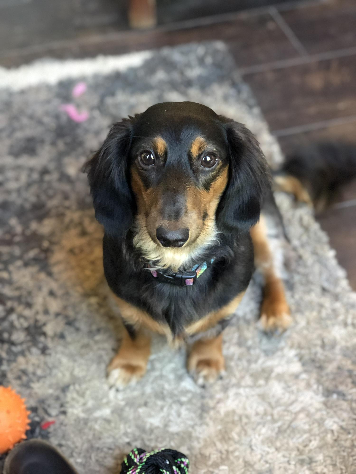 Nelly’s official first year with us.