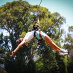 7-Line Maui Zipline Tour on the North Shore