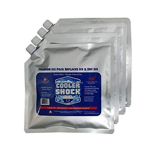 4 Mid-Size Cooler Freeze Packs 10" x 10” The Coldest Pack at 18 Degrees F. No More Ice! Reusable. You Add Water & Save! - C.S. Brand Packs Have Over 4,000 Reviews Averaging 4.6 Stars - Safe USA Made