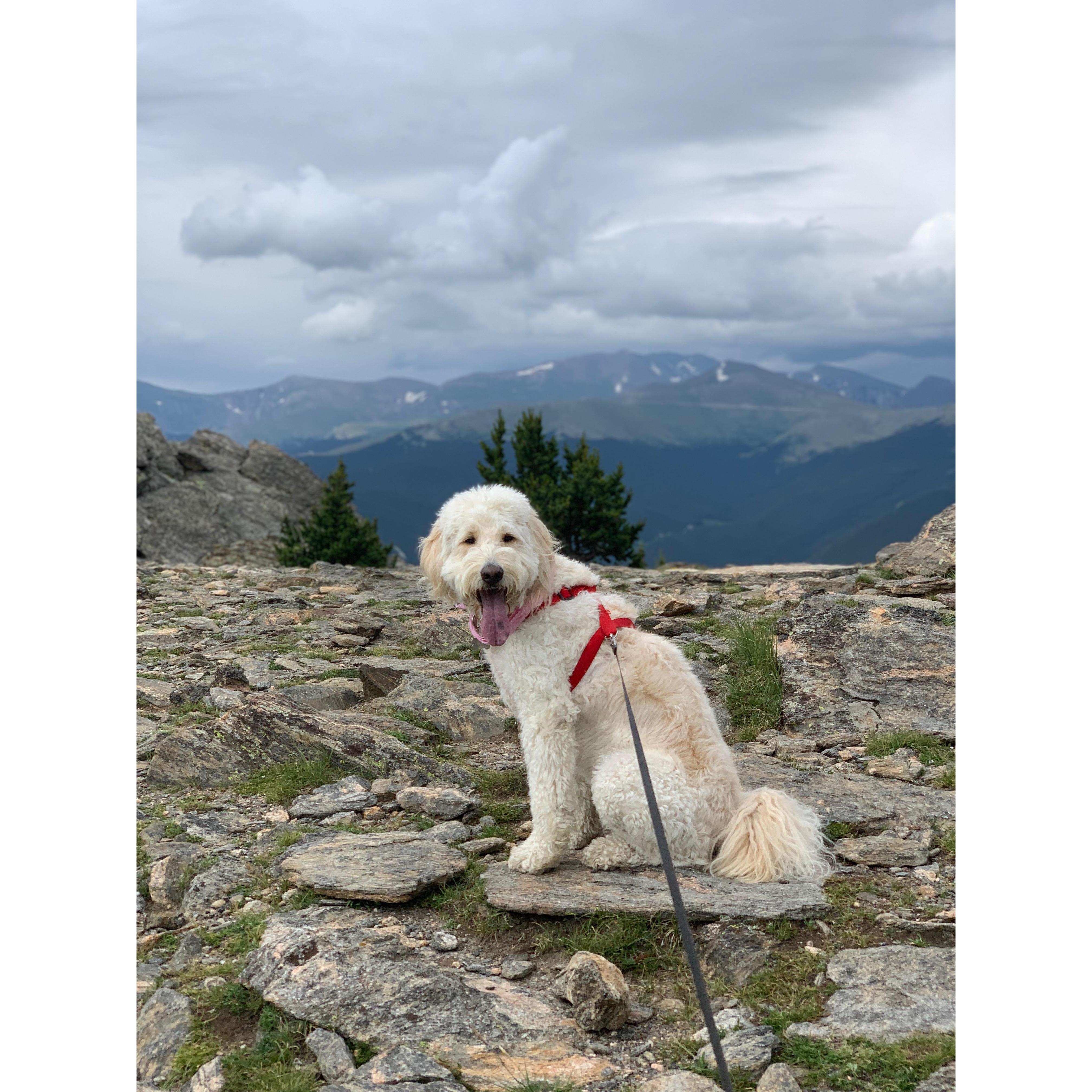 Colorado, 2019