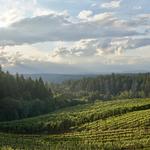 Apple Hill