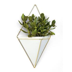 Umbra Trigg Hanging Planter Vase & Geometric Wall Decor Container