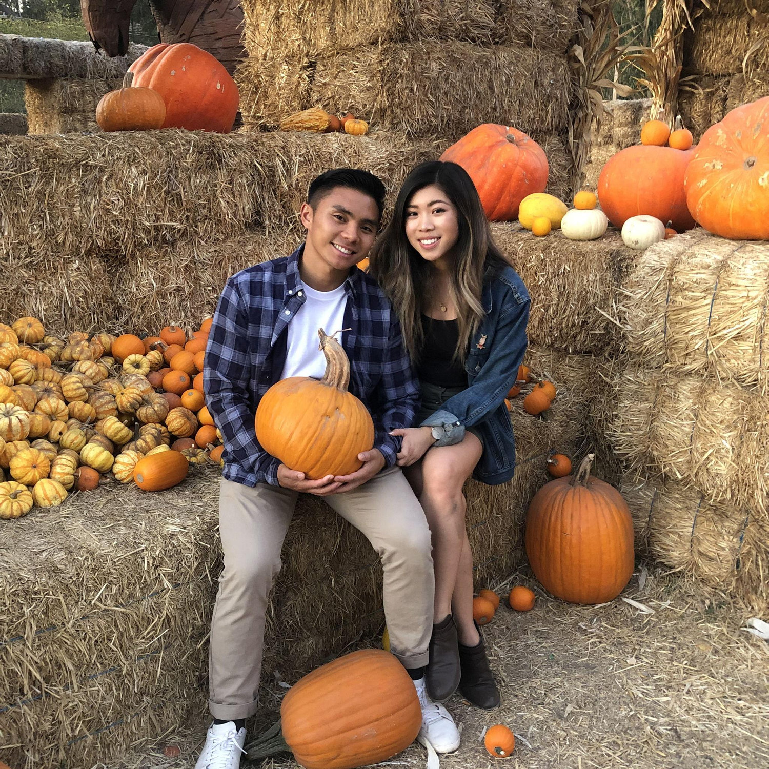 2019 - Pumpkin patch
