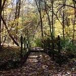 Black Hawk State Historic Site Trail