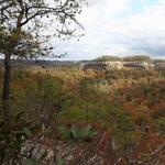 Swift Camp Creek Trail - Red River Gorge