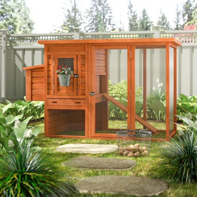 Freddy Chicken Coop with Chicken Run/Nesting Box/Roosting Bar