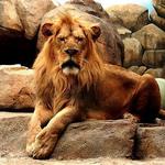 Milwaukee County Zoo