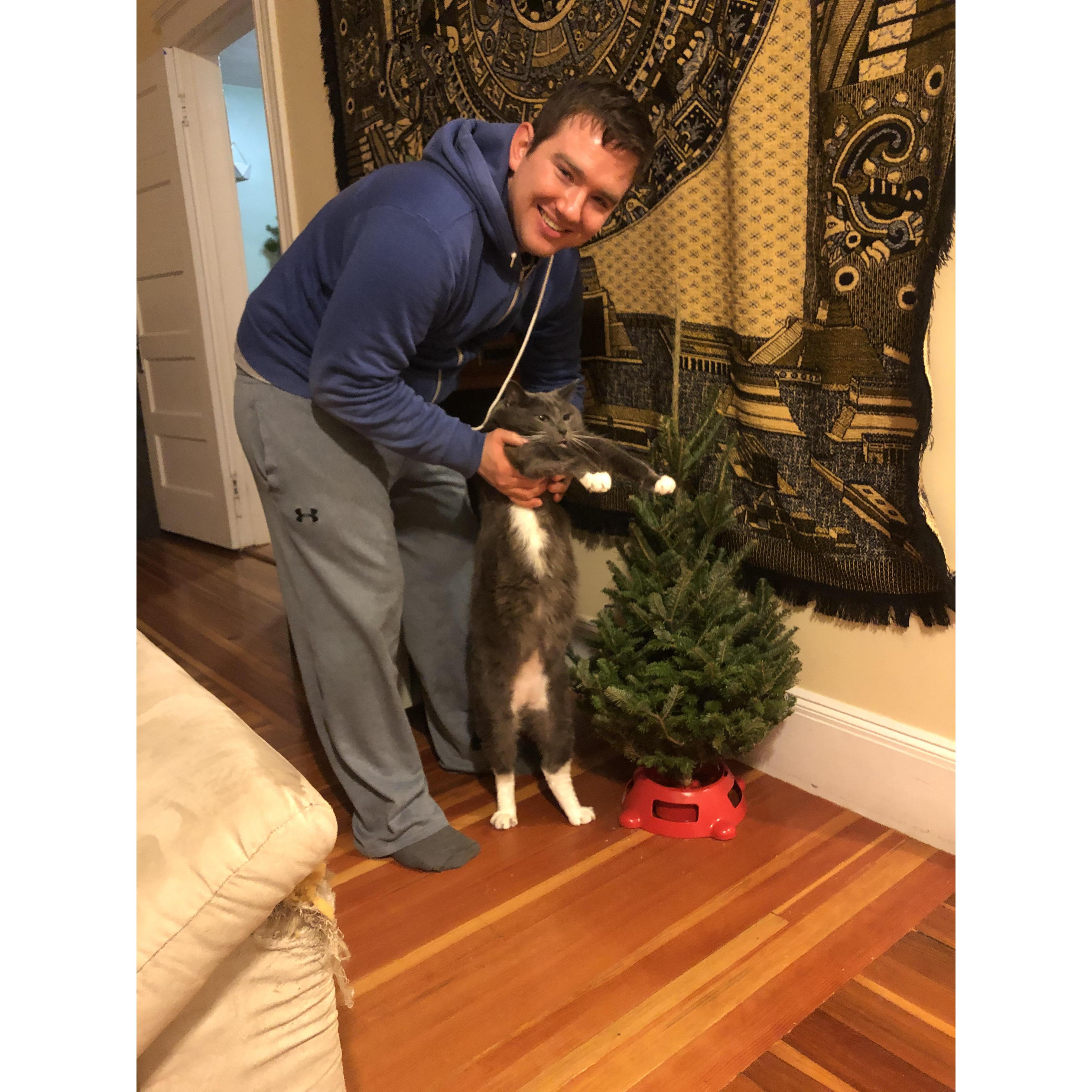 That time Dan surprised us with a tree the size of Luc - 2019