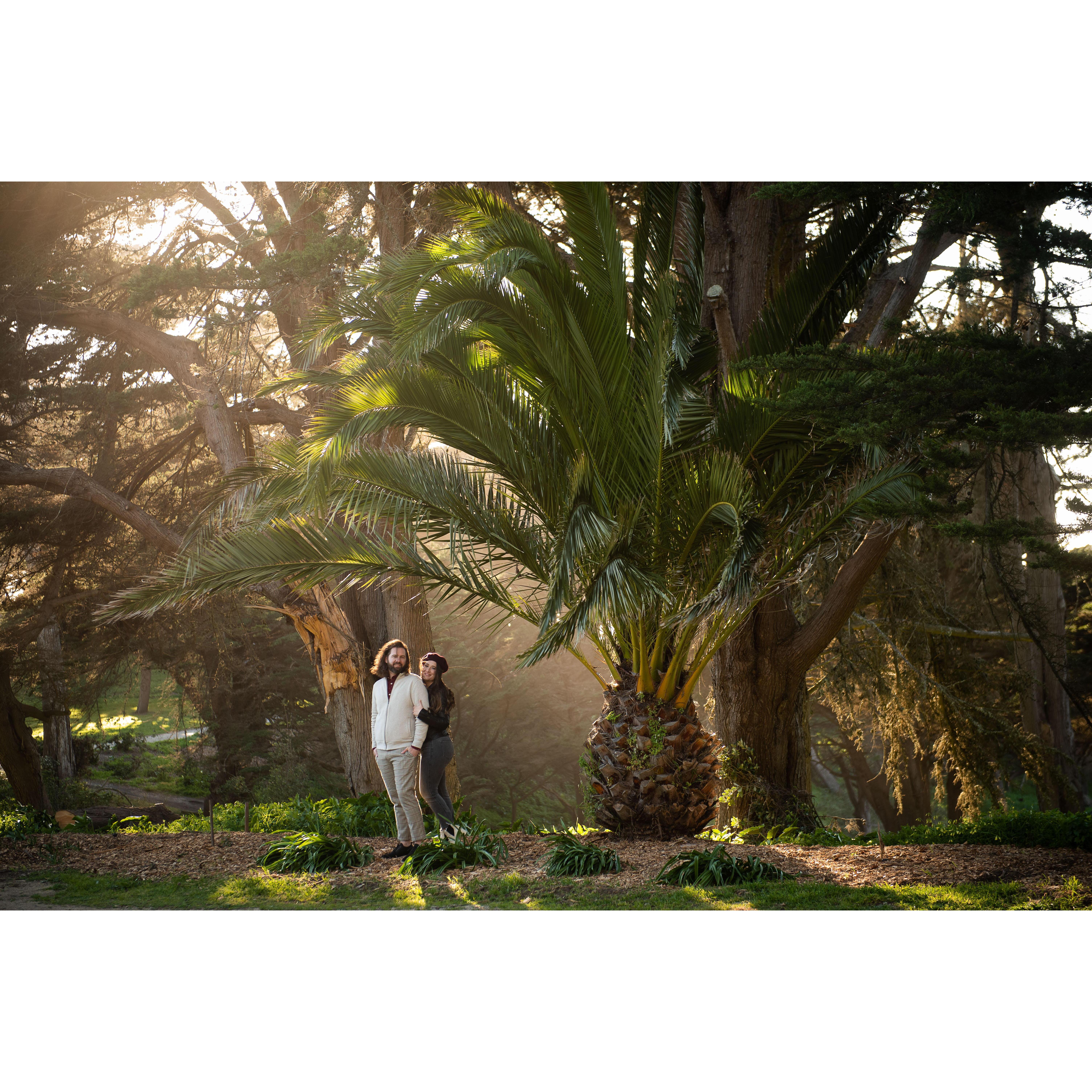 Engagement photos taken at Sutro Heights in San Francisco.