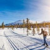 Cross-Country Skiing