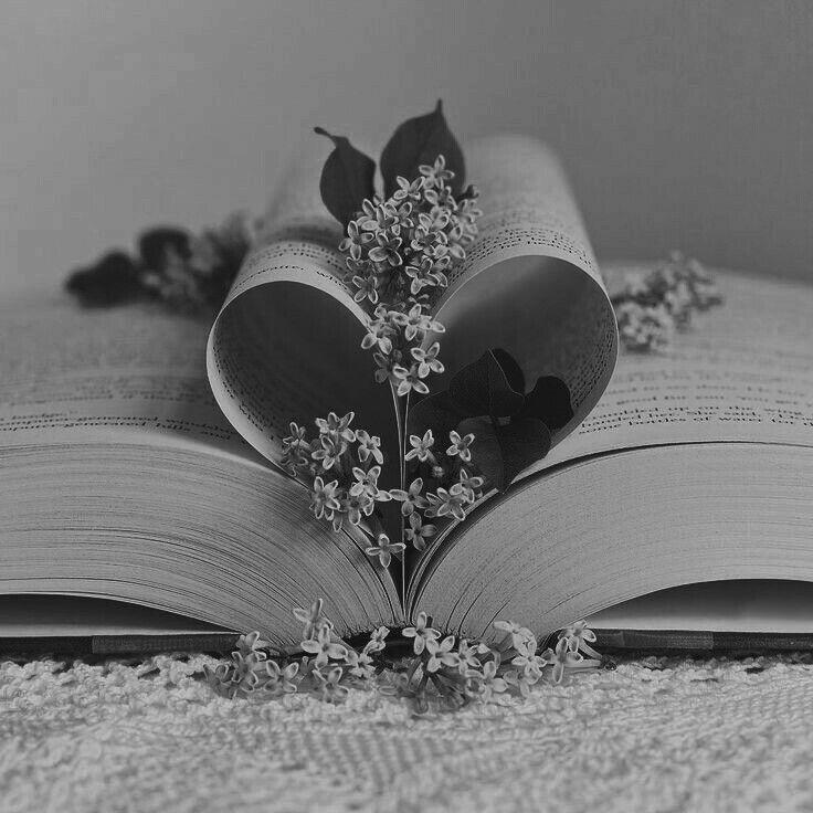 The Wedding Website of Hristiani Peneva and Dylan Jimenez