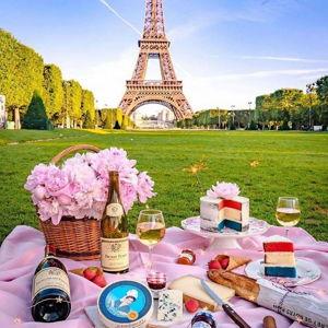 Oui Oui to a Picnic under the Eiffel Tower