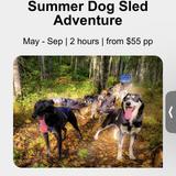Snowhook Adventure Guides of Alaska