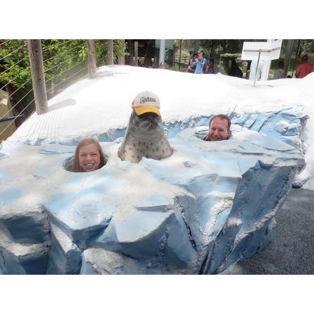 Memorial Day 2018 Trip to San Diego would not have been complete without a trip to the San Diego Zoo!