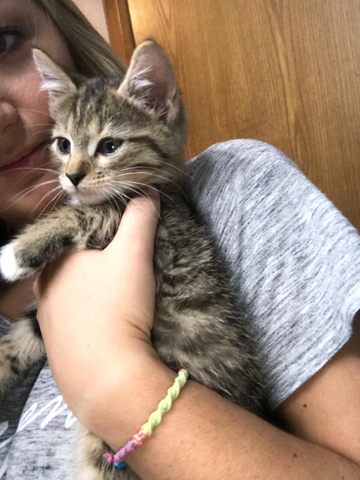 And then a couple months later, Mr. Winston was adopted.